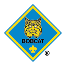 Bobcat Rank