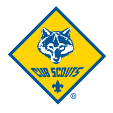 Cub Scout