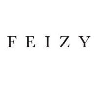  Feizy Logo